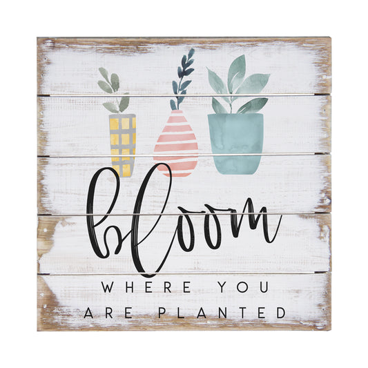 Bloom Where Planted