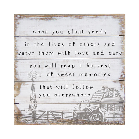 Plant Seeds